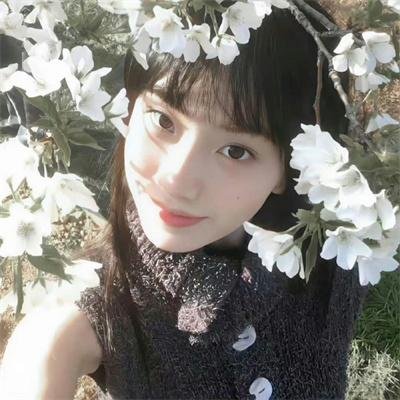 大宋少年志